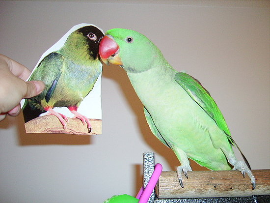 Image Image